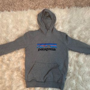 Gray Patagonia sweatshirt